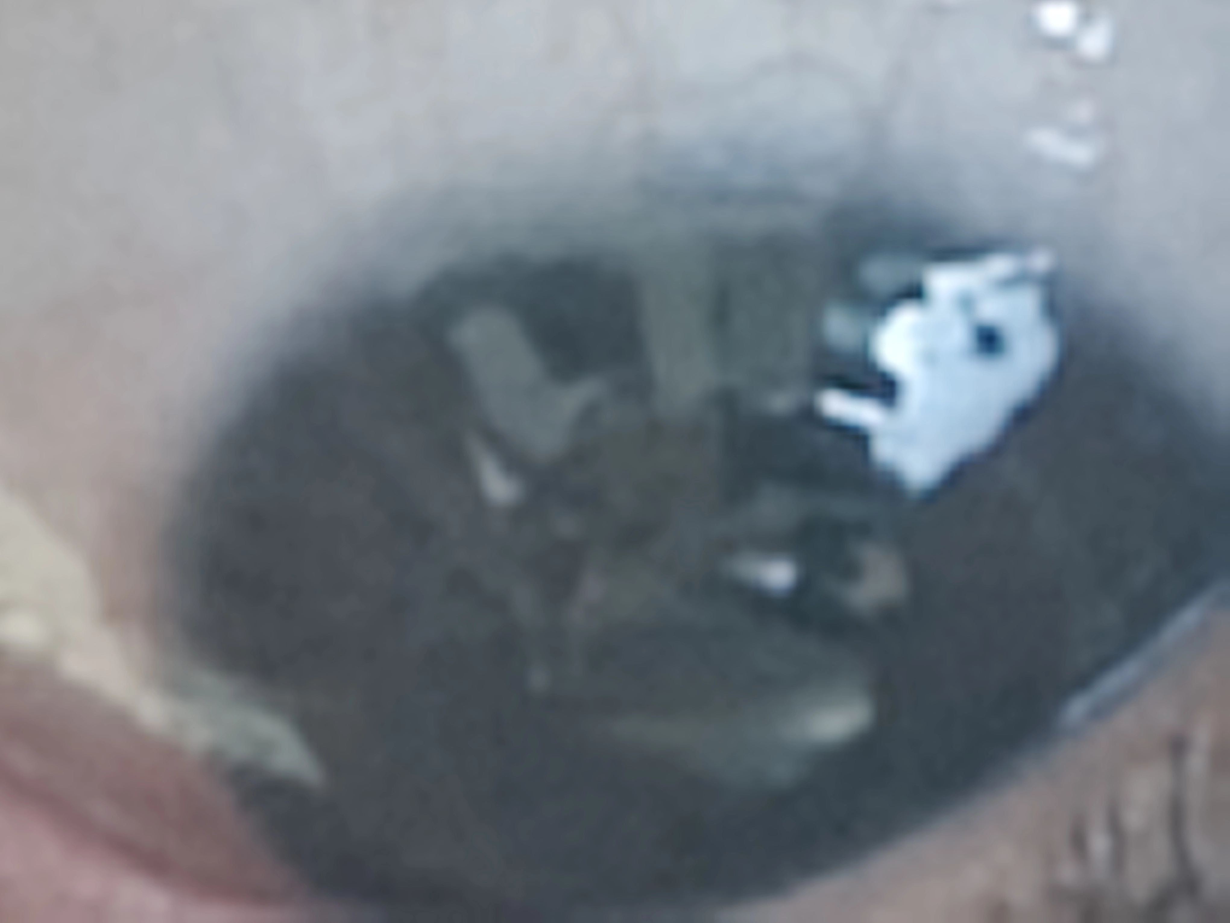 ببب